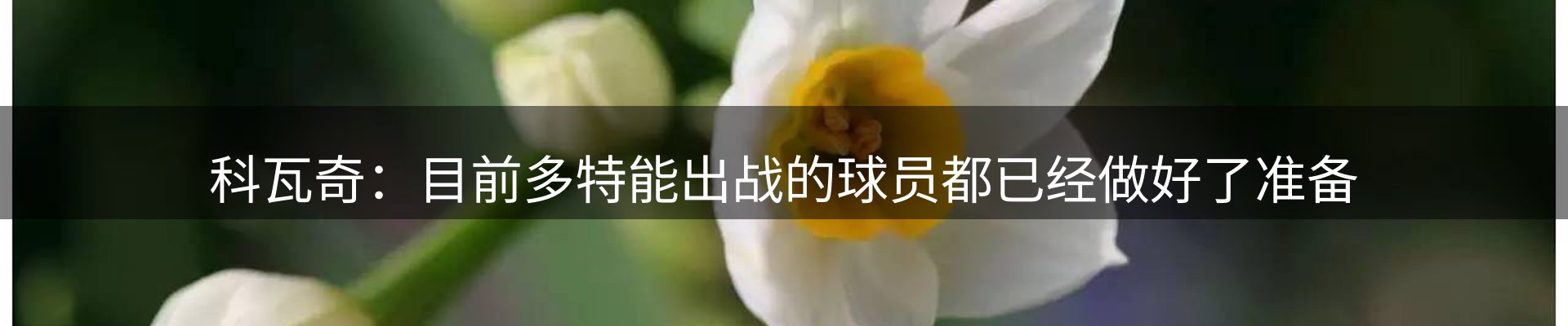 新闻导览